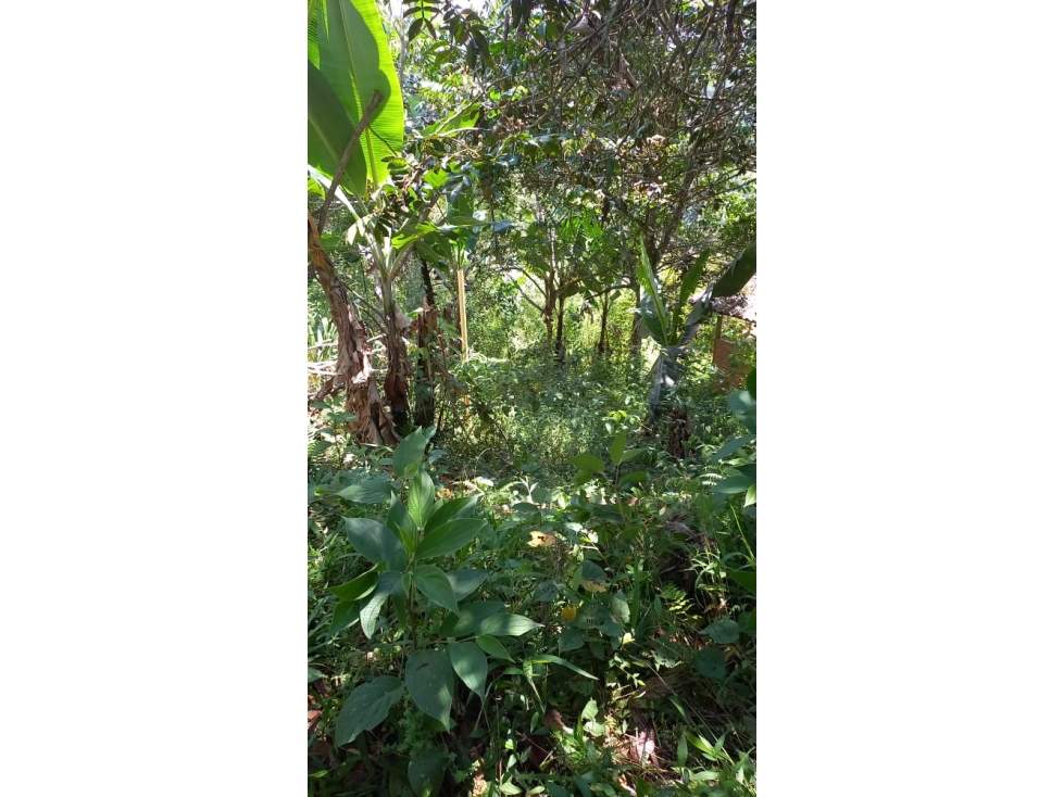 LOTE EN EL QUEREMAL EN VENTA W8240660JR - 6