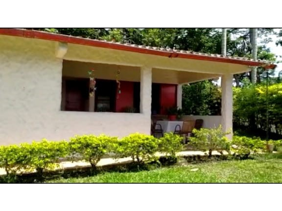 VENTA FINCA LAS MARGARITAS — foto 6