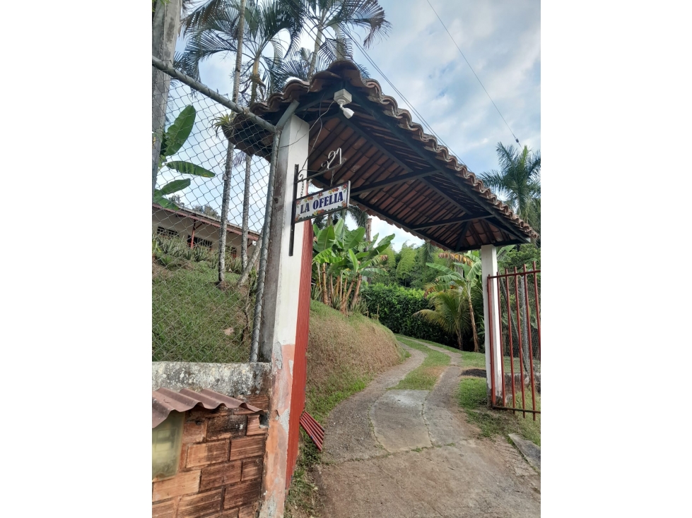 VENTA FINCA LAS MARGARITAS - 6