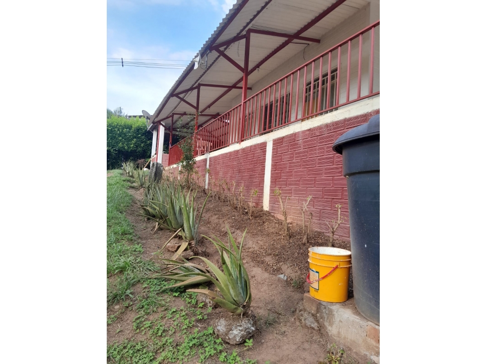 VENTA FINCA LAS MARGARITAS - 4