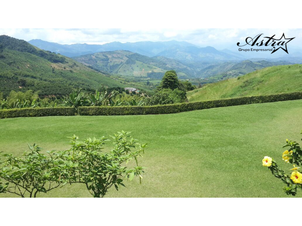 VENTA FINCA SANTAGUEDA — foto 4