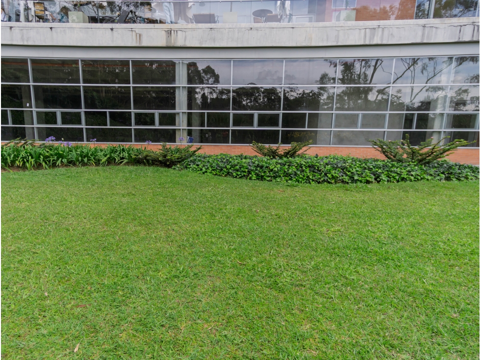 Venta o Arriendo Local Rionegro Sector Llano Grande Aeropuerto — foto 2
