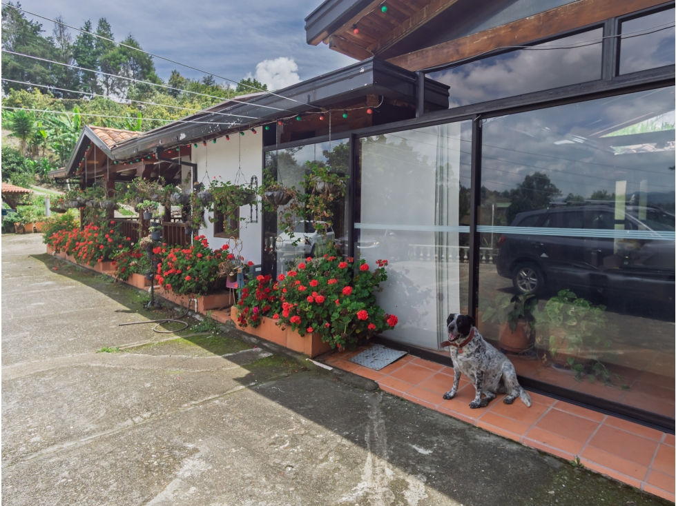 Venta Finca Vereda Mampuesto Rionegro Antioquia Colombia — foto 2