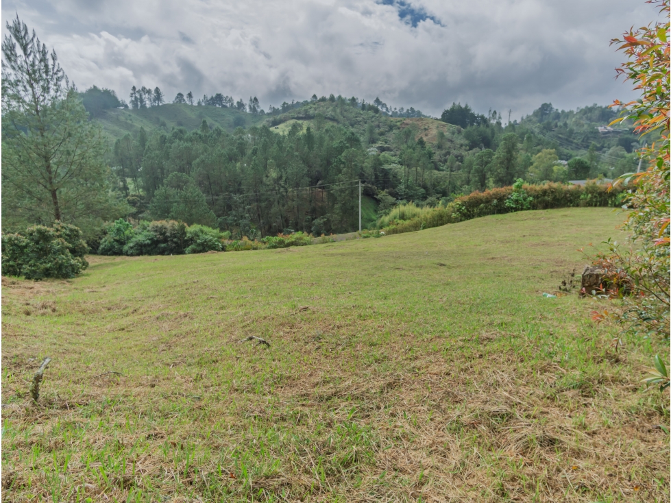 Venta Lote El Retiro Vía Don Diego La Ceja Antioquia Colombia — foto 2