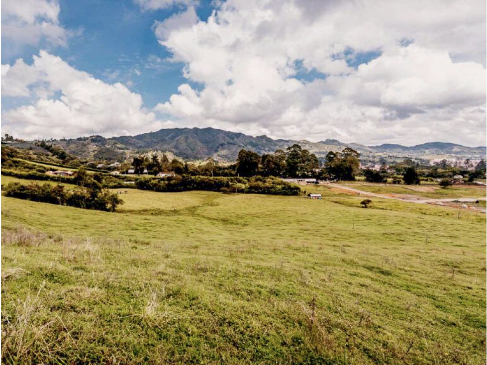 Venta Lote Sector El Tambo La Ceja Antioquia Colombia — foto 2