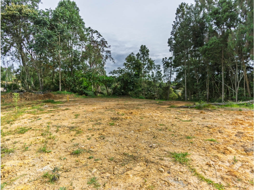 Venta Lote Alto de las Palmas Envigado Antioquia Colombia — foto 2
