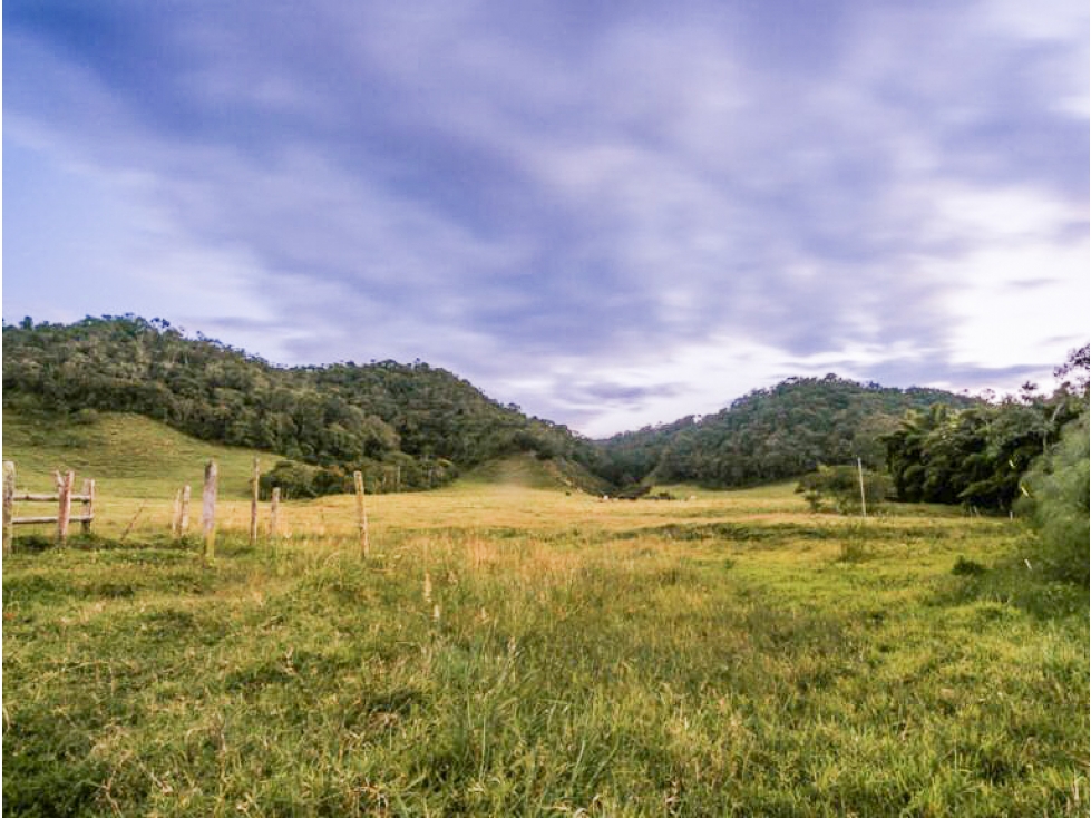 Venta Lote Sector El Tambo La Ceja Antioquia Colombia — foto 3