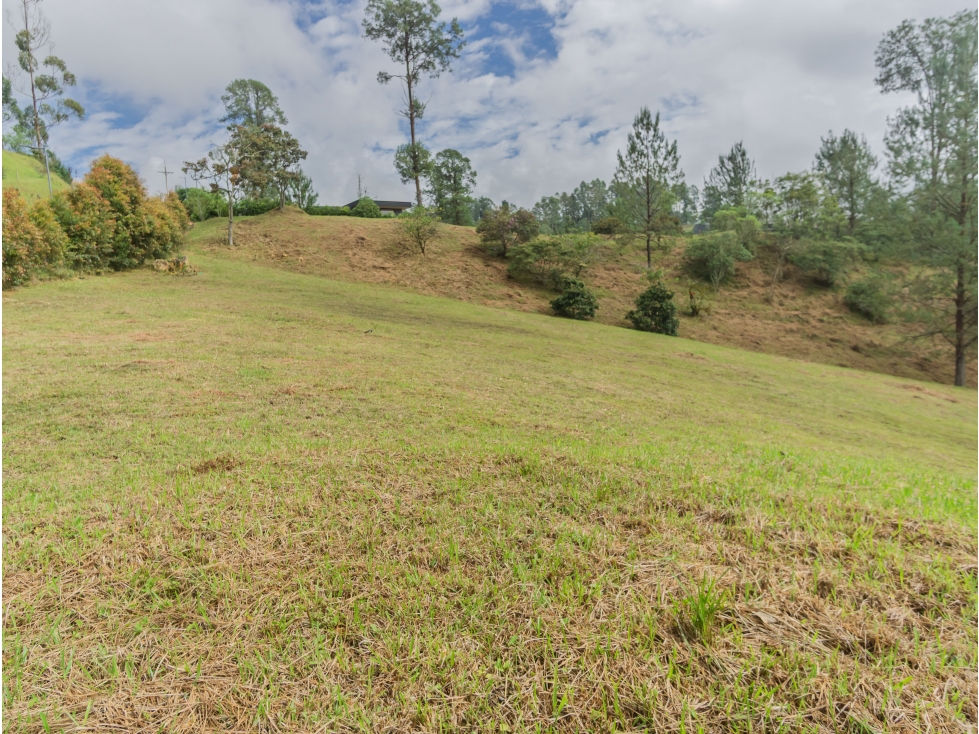 Venta Lote El Retiro Vía Don Diego La Ceja Antioquia Colombia — foto 5