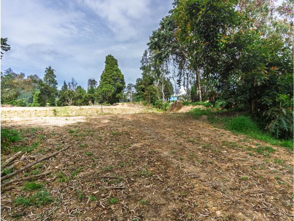 Venta Lote Alto de las Palmas Envigado Antioquia Colombia — foto 5