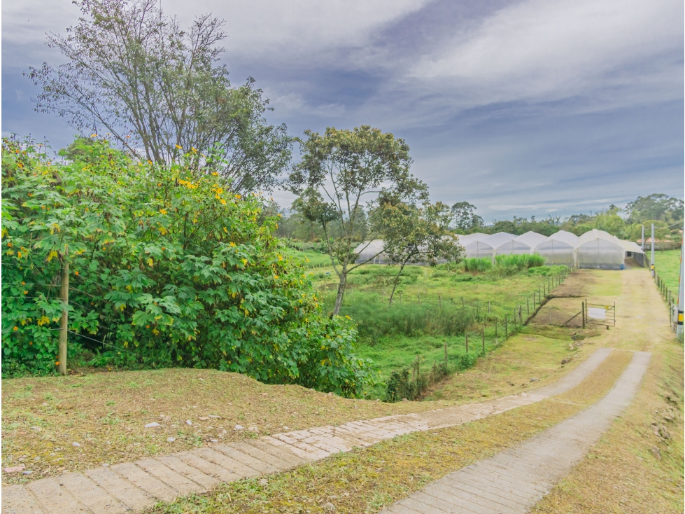 Venta Lote Sector El Tablazo Rionegro Antioquia Colombia — foto 5