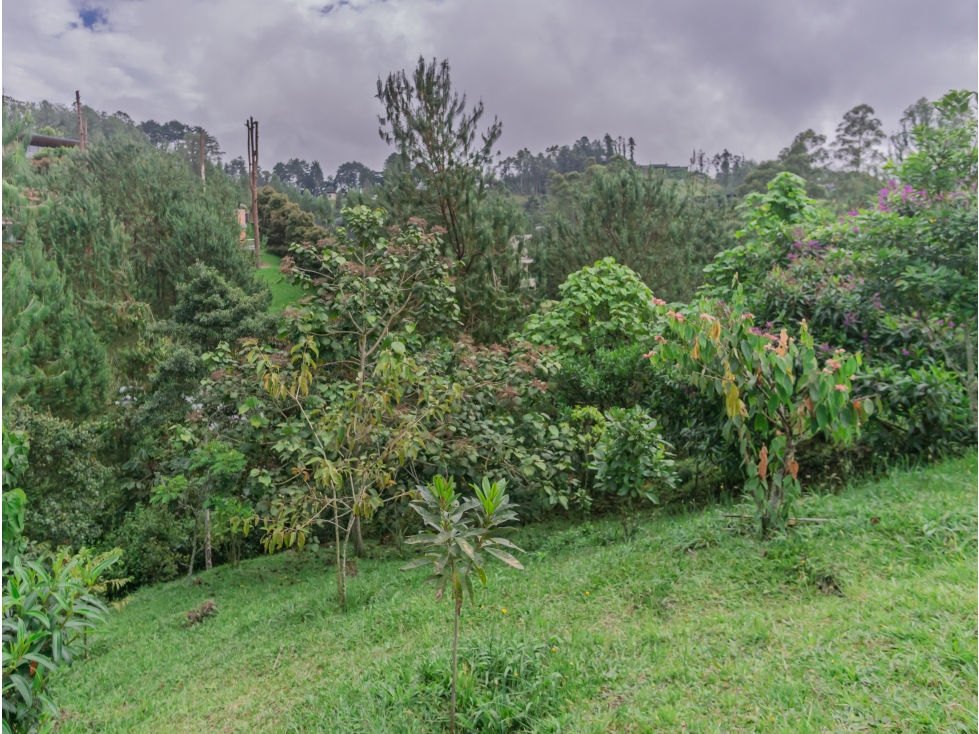 Venta Lote El Retiro Vía Don Diego-La Ceja Antioquia Colombia — foto 3