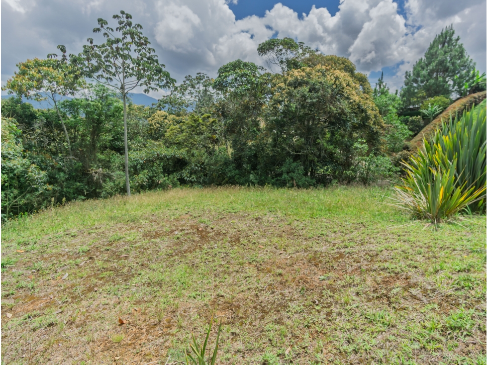 Venta Lote La Ceja Vía San Antonio de Pereira Antioquia Colombia