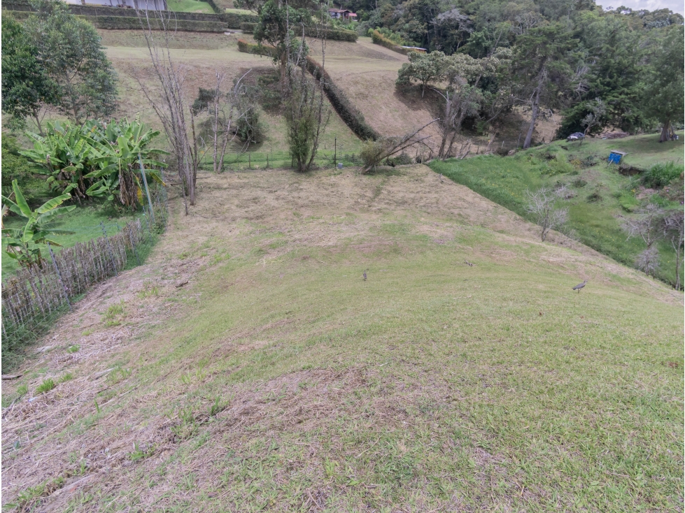 Venta Lote Municipio El Carmen de Viboral Vía La Ceja Antioquia — foto 4