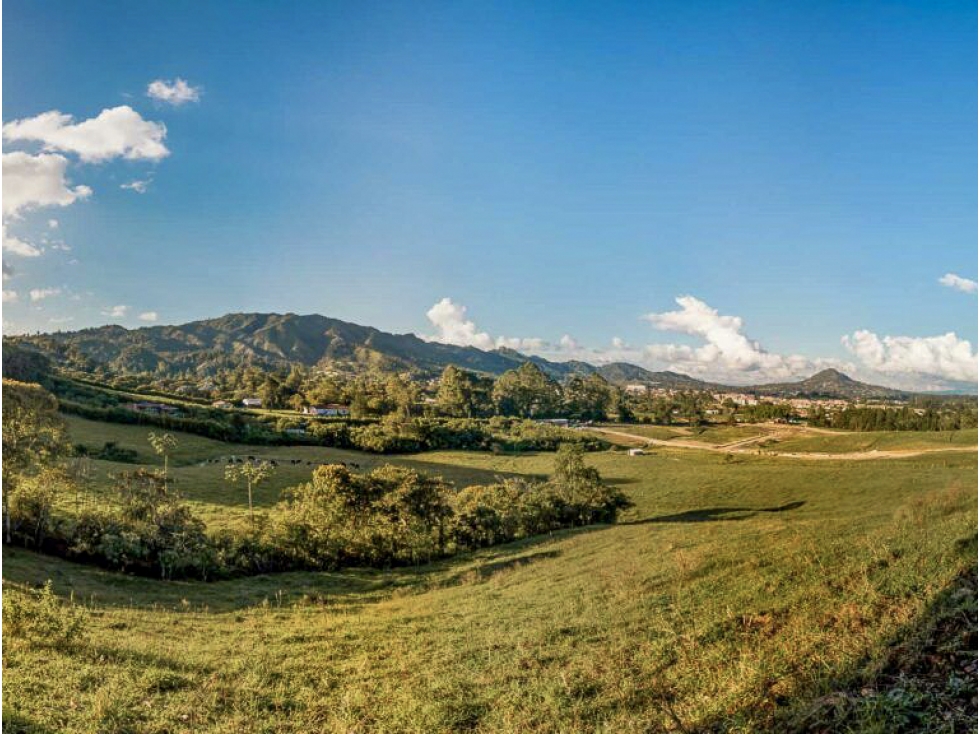 Venta Lote Sector El Tambo La Ceja Antioquia Colombia — foto 4