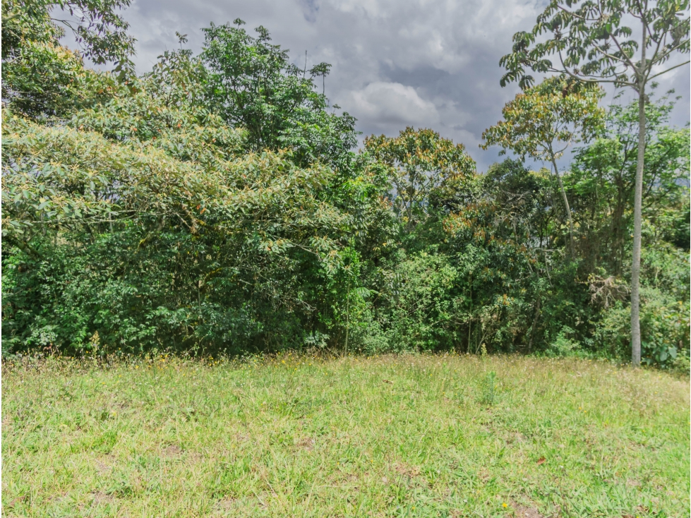 Venta Lote La Ceja Vía San Antonio de Pereira Antioquia Colombia — foto 2