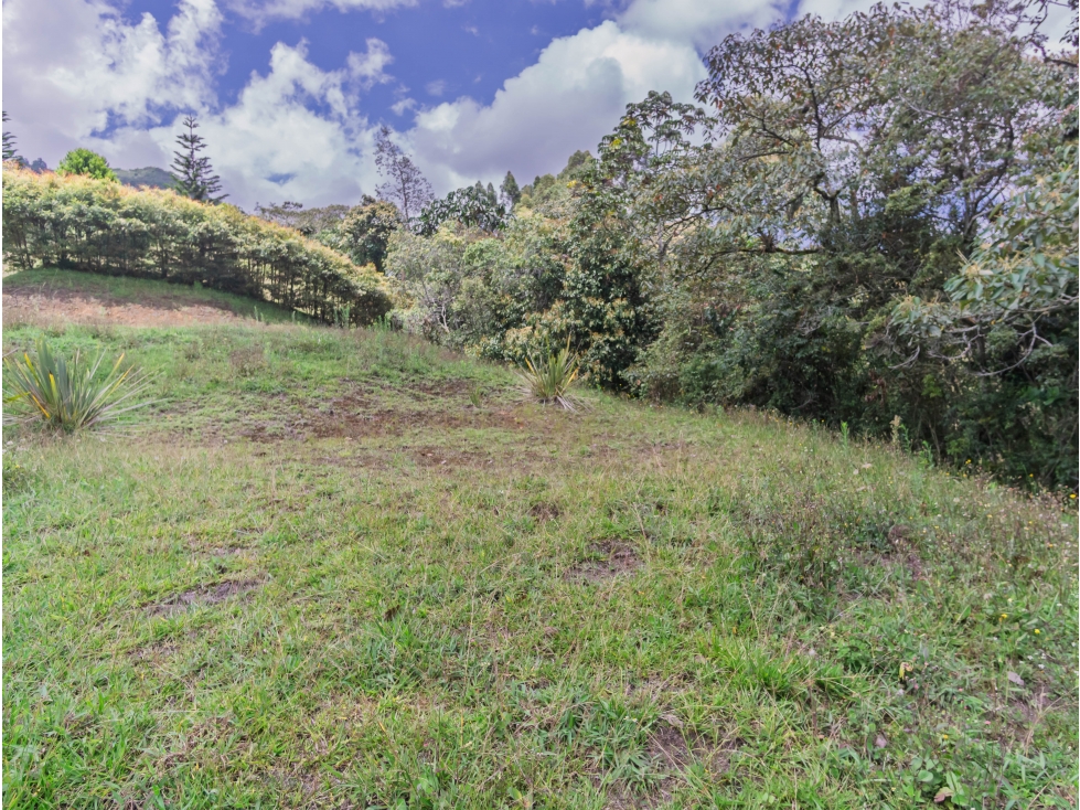 Venta Lote La Ceja Vía San Antonio de Pereira Antioquia Colombia — foto 6