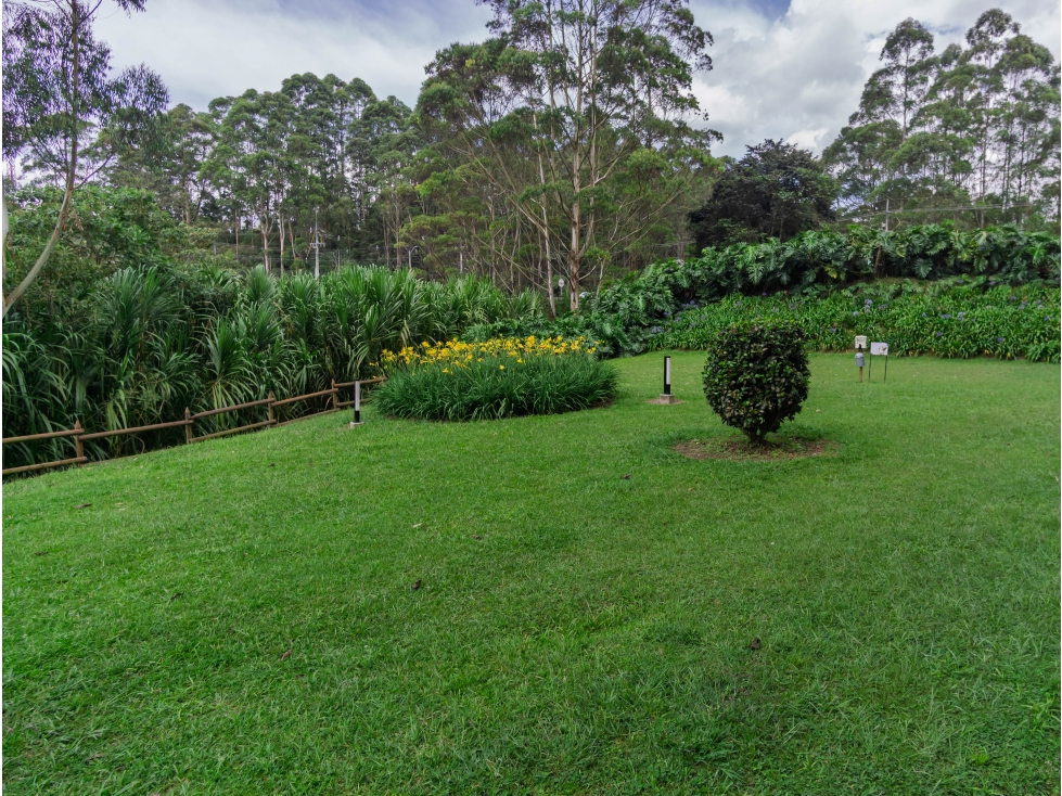 Venta o Arriendo Local Rionegro Sector Llano Grande Aeropuerto — foto 4