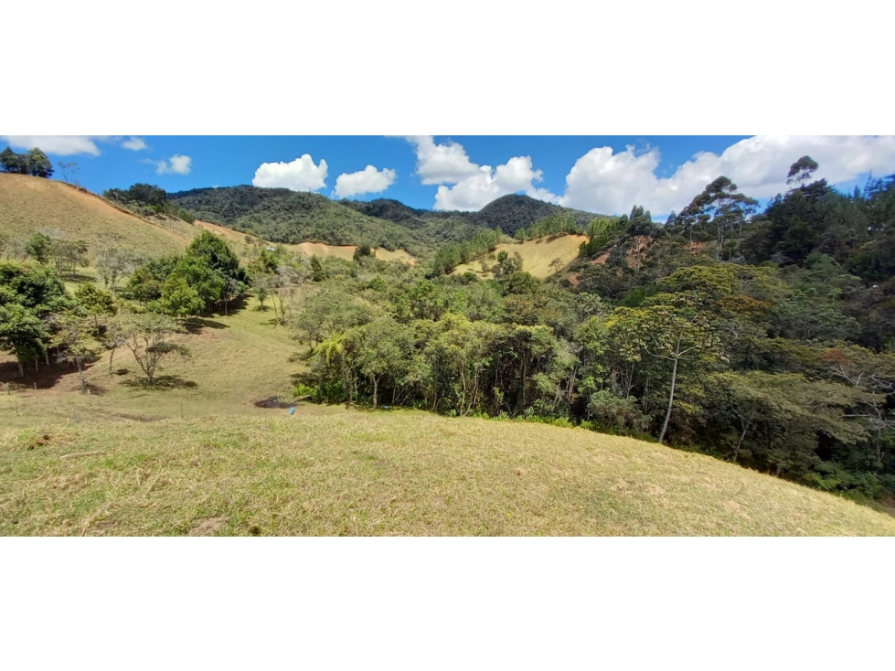VENDO FINCA PARA PARCELACION O AGROINDUSTRIA EL RETIRO ANTIOQUIA
