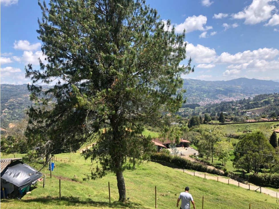 LOTE EN VENTA EN VEREDA SAN ISIDRO, GUARNE — foto 6