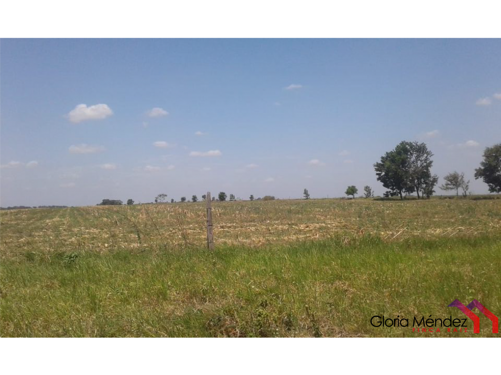 Finca en Puerto Lopez para Venta o Permuta - 5