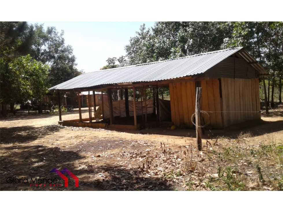 Finca en Puerto Lopez para Venta o Permuta - 3