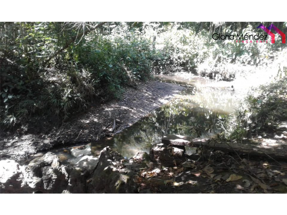 Finca en Puerto Lopez para Venta o Permuta - 6