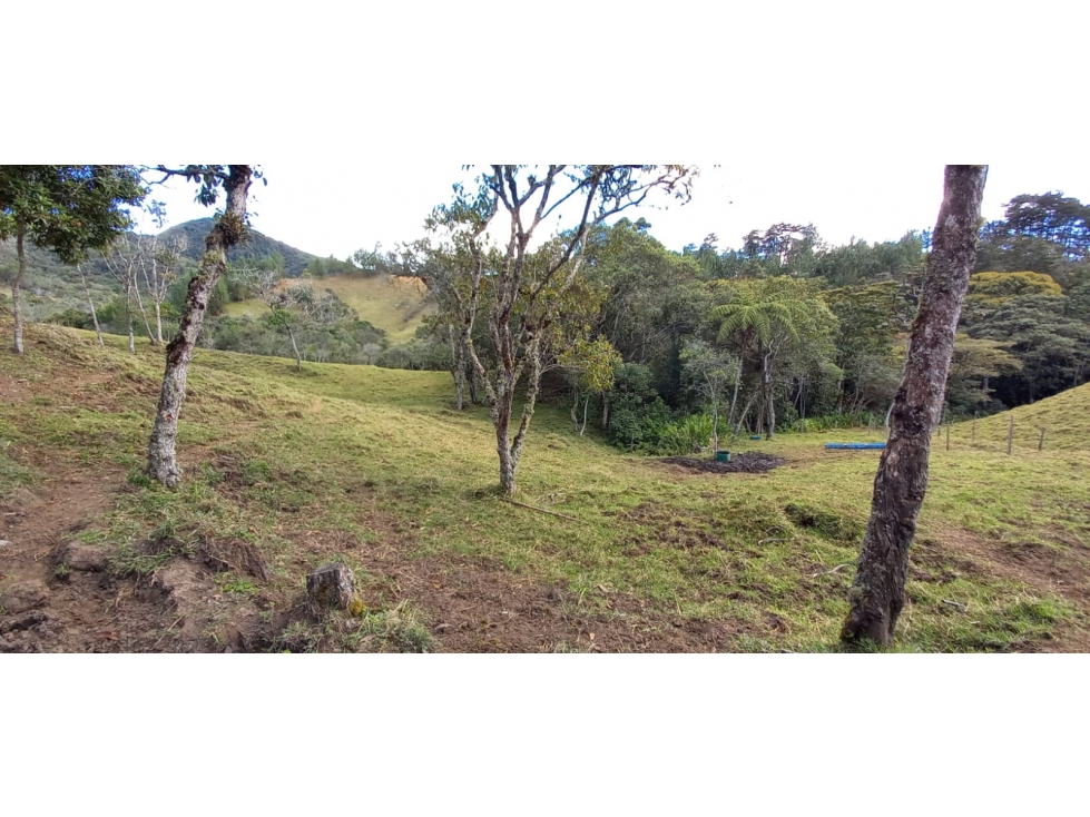 VENDO FINCA PARA PARCELACION O AGROINDUSTRIA EL RETIRO ANTIOQUIA — foto 4