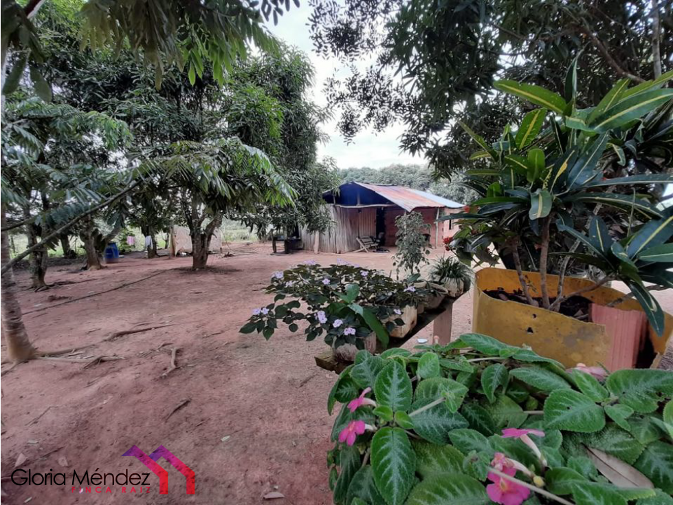 Finca en Puerto Lopez para Venta o Permuta - 1
