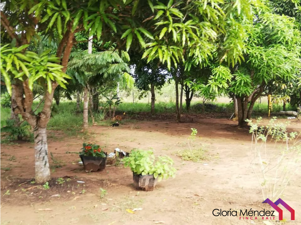 Finca en Puerto Lopez para Venta o Permuta - 4