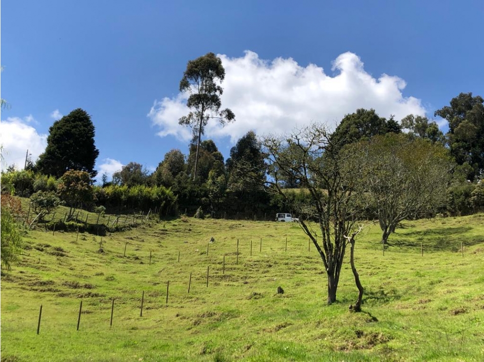 LOTE EN VENTA EN VEREDA SAN ISIDRO, GUARNE