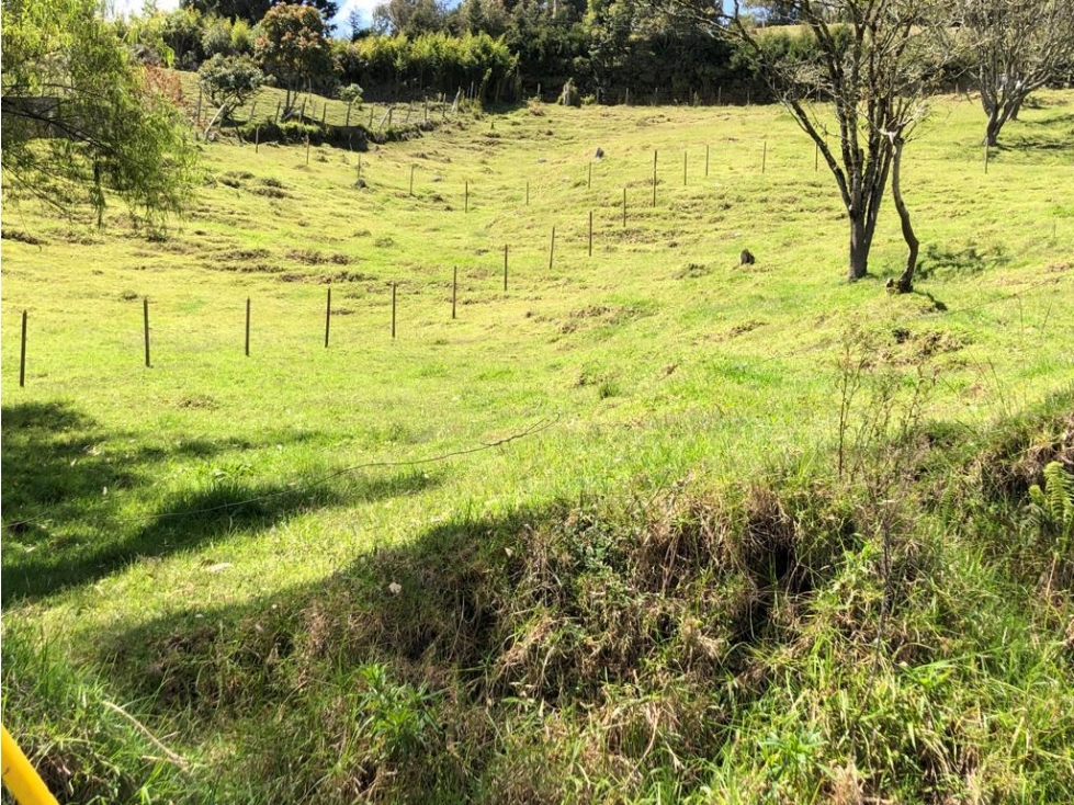 LOTE EN VENTA EN VEREDA SAN ISIDRO, GUARNE — foto 4