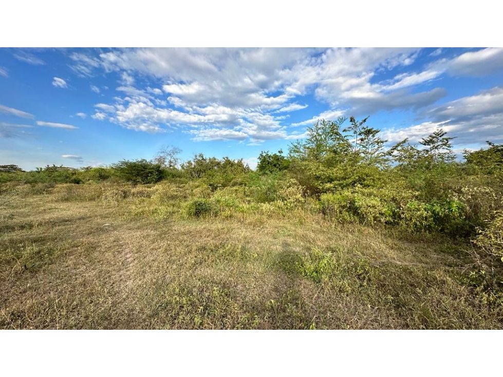 Lote en venta con licencia de urbanismo - Villa Constanza, Neiva - 2