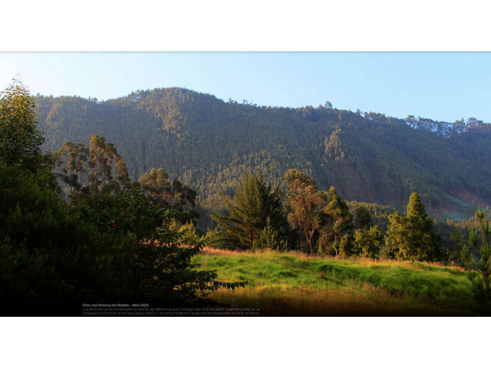 Lotes y casas en venta, Cajicá - Cundinamarca — foto 6