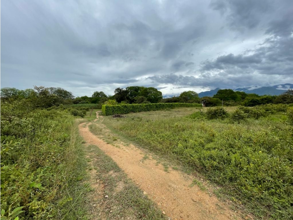 Lote en venta, Rivera - Huila - 3