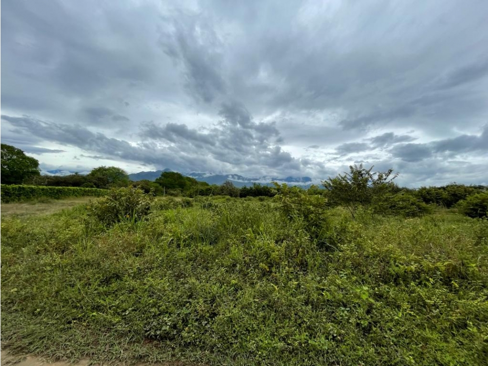 Lote en venta, Rivera - Huila - 4
