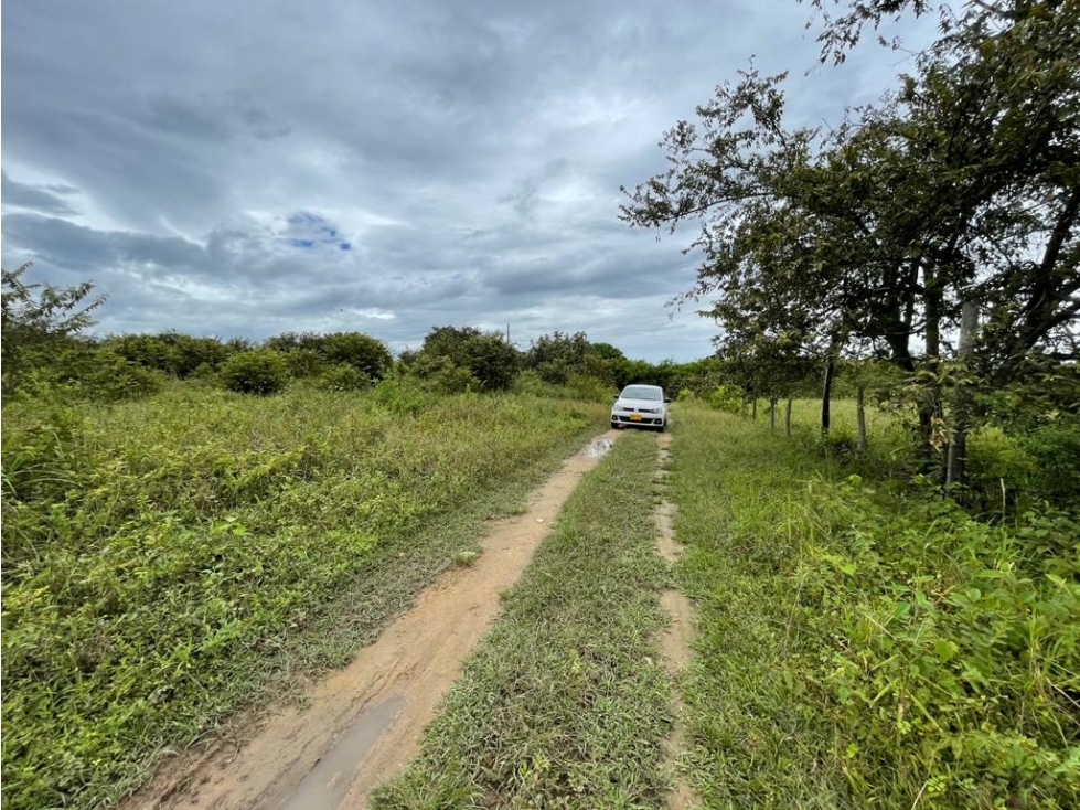 Lote en venta, Rivera - Huila - 5