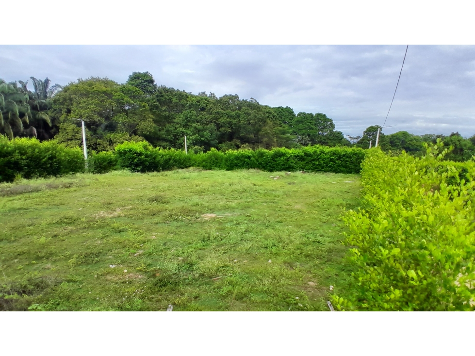 Lote en Venta - Riverita, Huila - 4