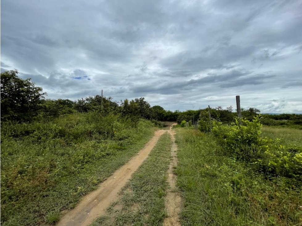 Lote en venta, Rivera - Huila - 6