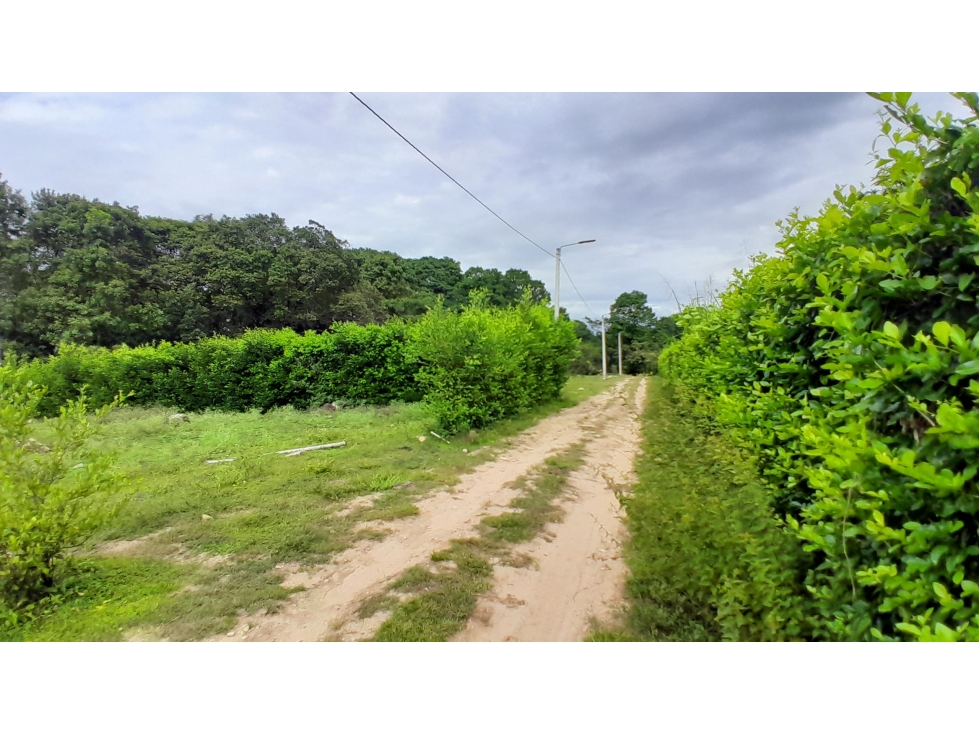 Lote en Venta - Riverita, Huila - 5