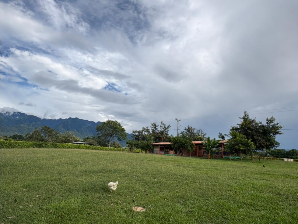 Finca en venta, Las Marias - Rivera, Huila - 5