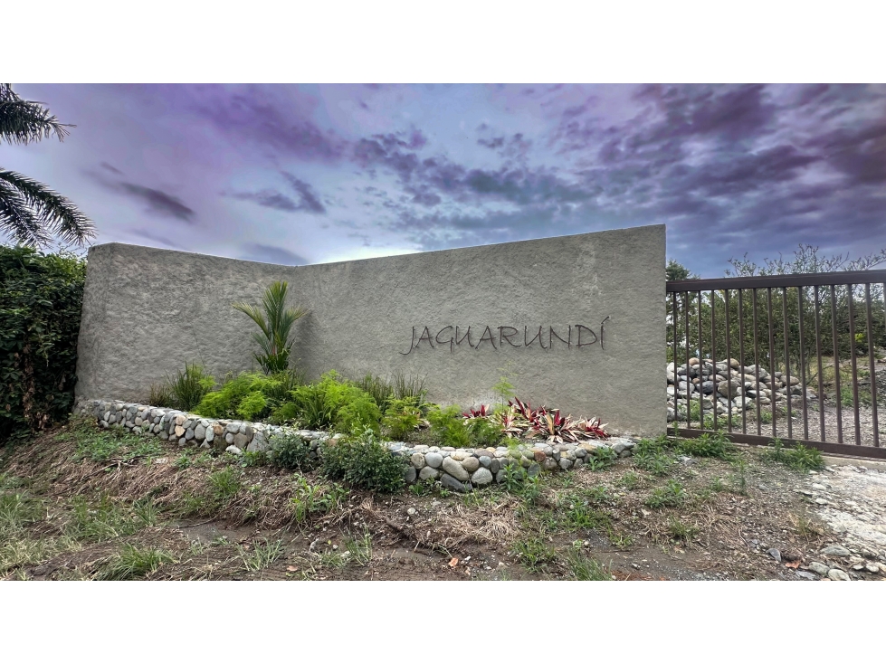 Lotes en Venta - Palestina (Vereda Buenavista) - 1