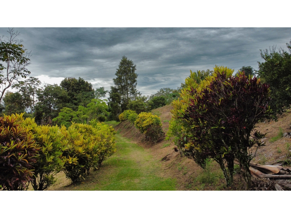 Lotes en Venta - Palestina (Vereda Buenavista) - 3