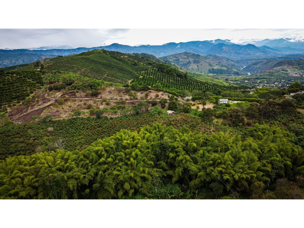 Lotes en Venta - Palestina (Vereda Buenavista) - 2