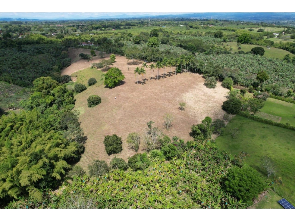 LOTE EN VENTA VIA TEBAIDA PUEBLO TAPAO (39.000 Metros cuadrados)