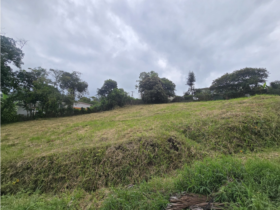VENTA LOTE CAMPESTRE CIRCASIA — foto 2