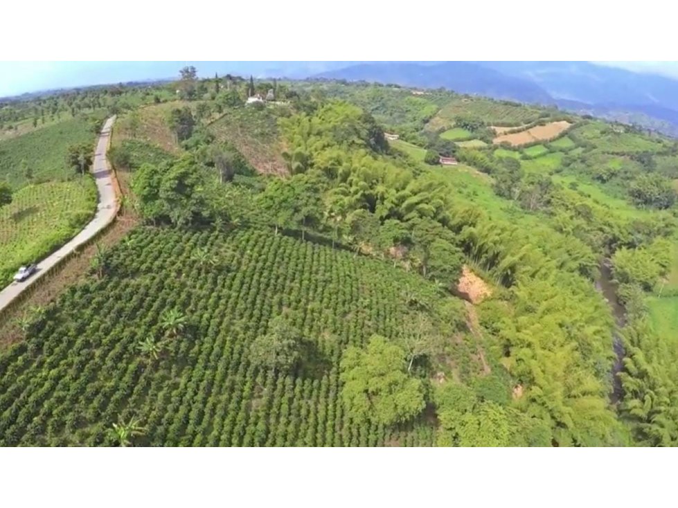 Lote para la venta Armenia-El Caimo
