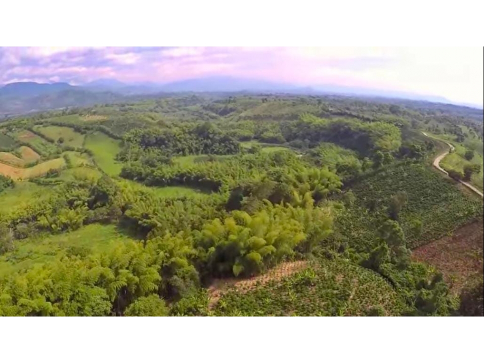 Lote para la venta Armenia-El Caimo — foto 5