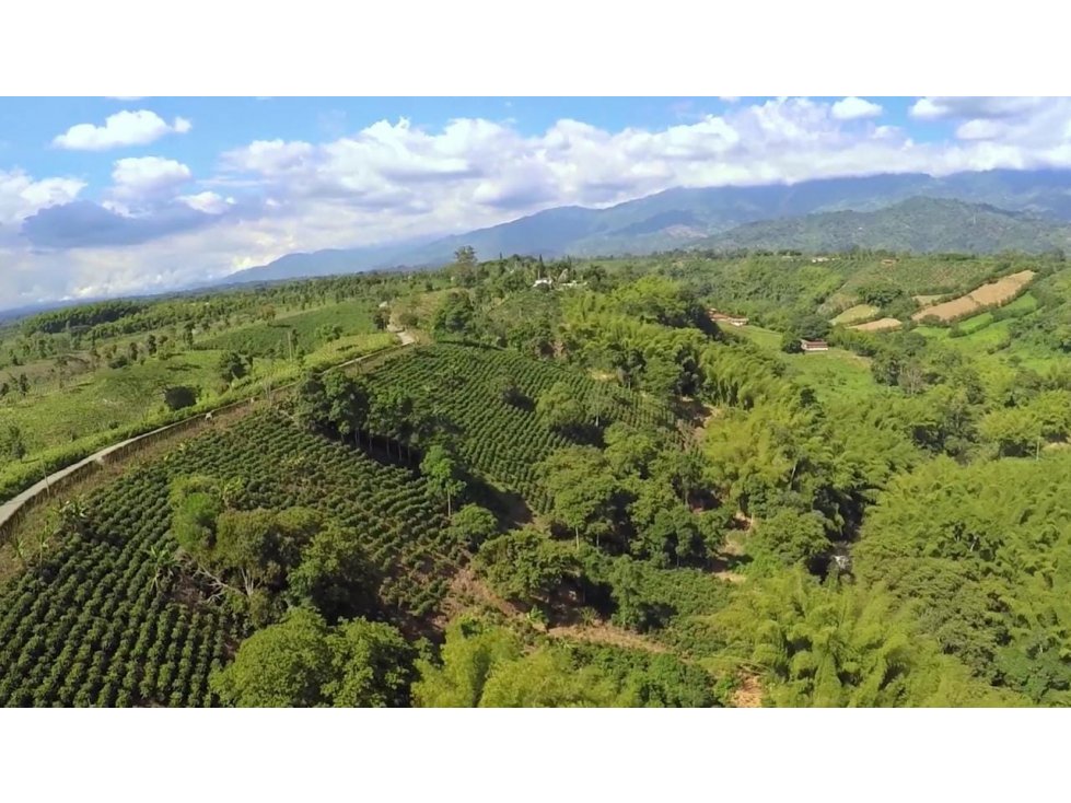 Lote para la venta Armenia-El Caimo — foto 2