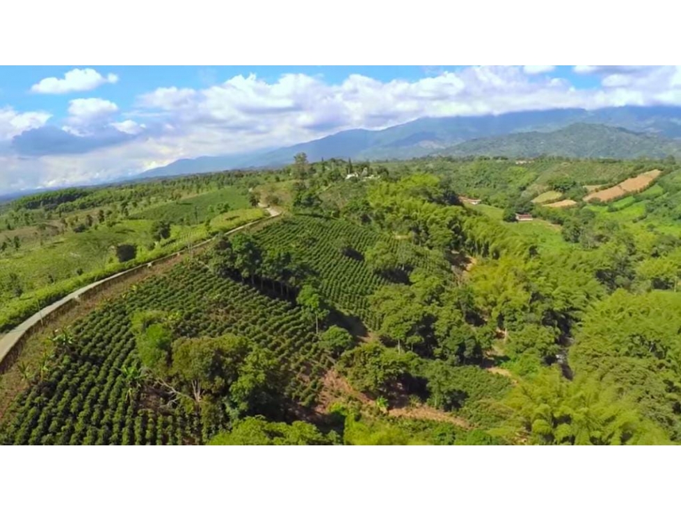 Lote para la venta Armenia-El Caimo — foto 6