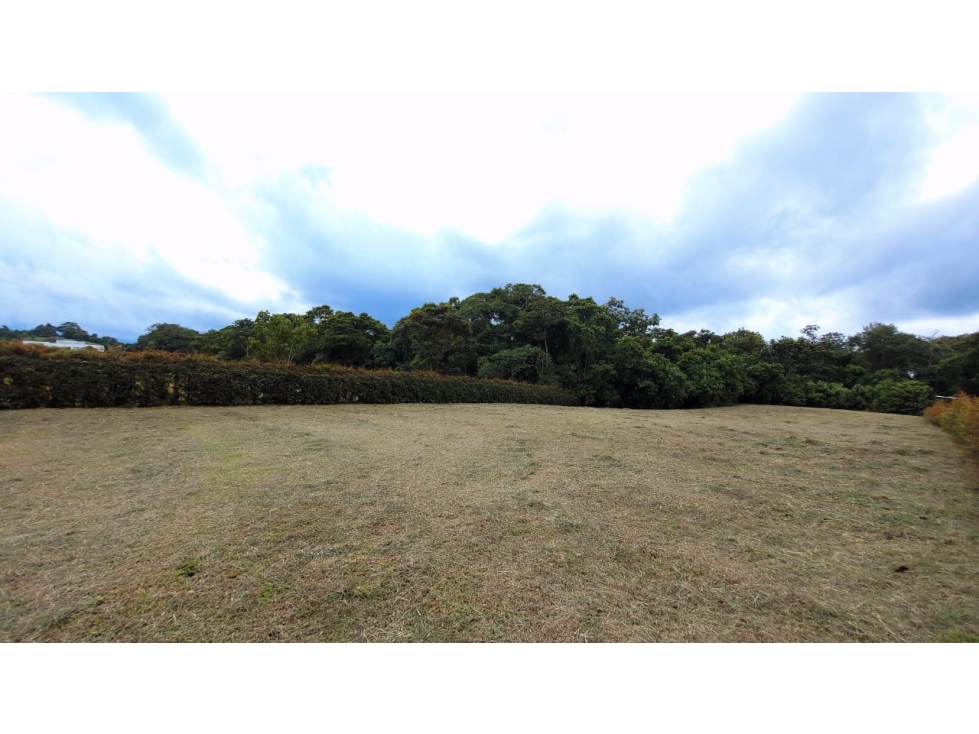 LOTE EN VENTA CONDOMINIO - CIRCASIA — foto 5